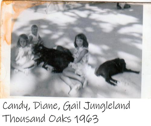 FamilyLinda172