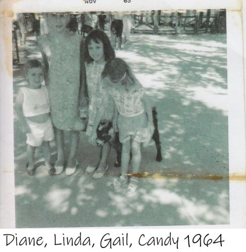 Diane, Linda, Gail, Candy 1964